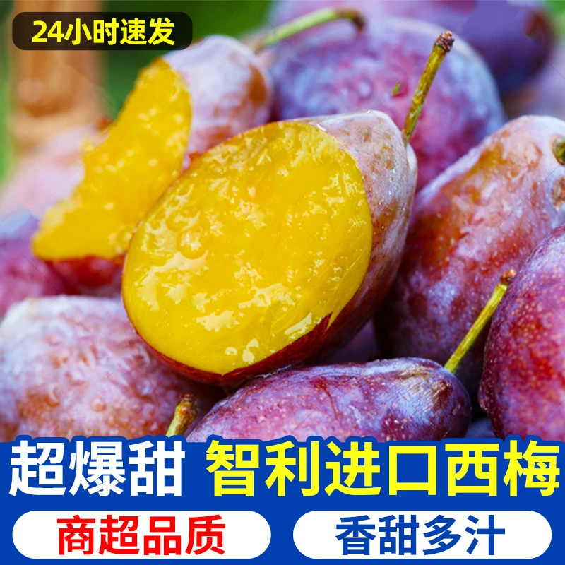 现货精选智利进口西梅天然香甜多汁鲜嫩酸甜新鲜水果京东包邮