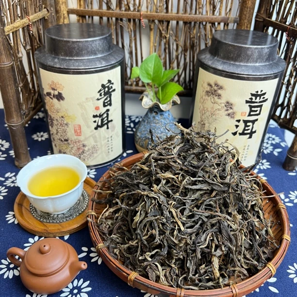 2024年大树春茶#韵味十足#花蜜香甜润#正宗云南普洱#古树普洱生茶