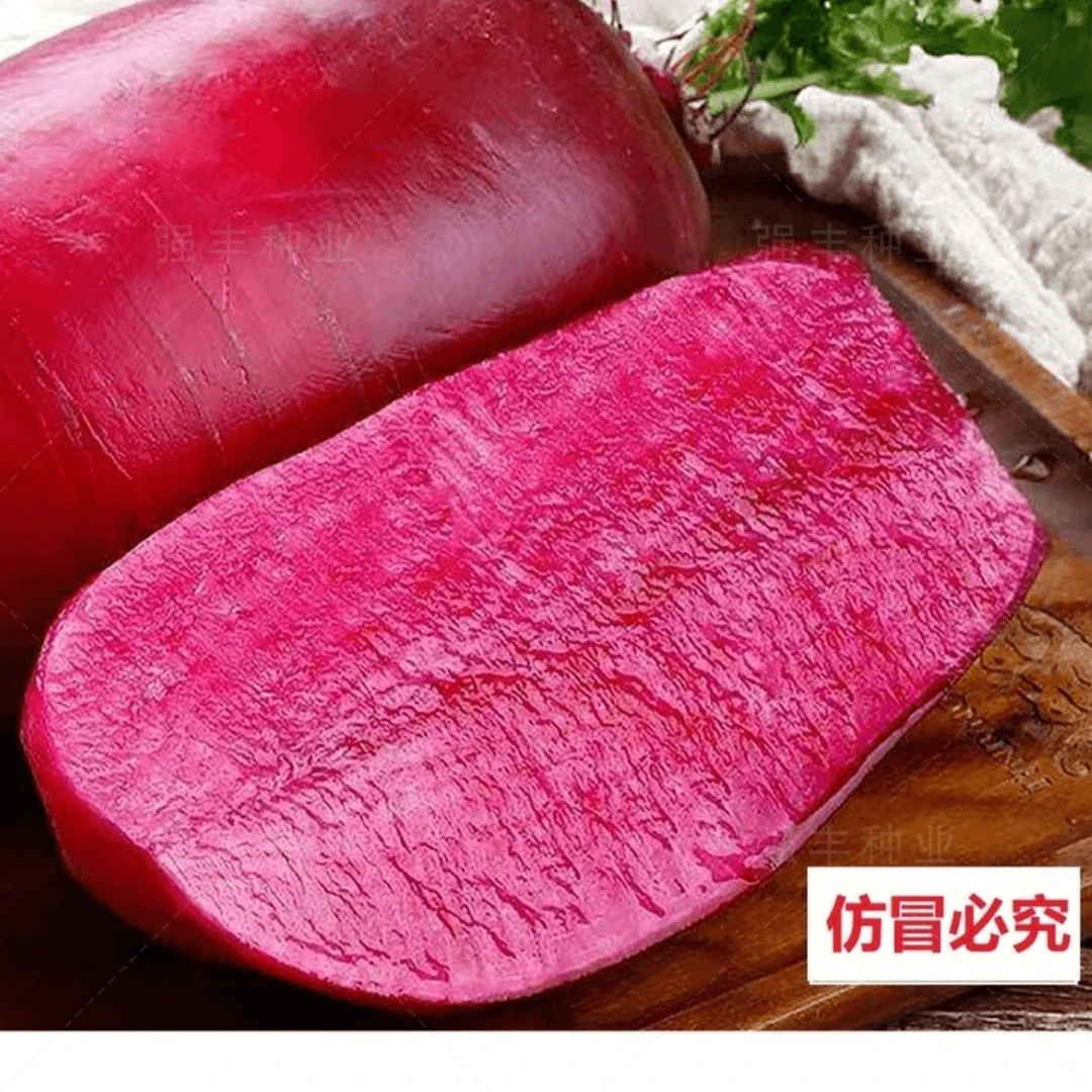 水果凤梨萝卜种子脆甜红皮红肉水果阳台菜园播