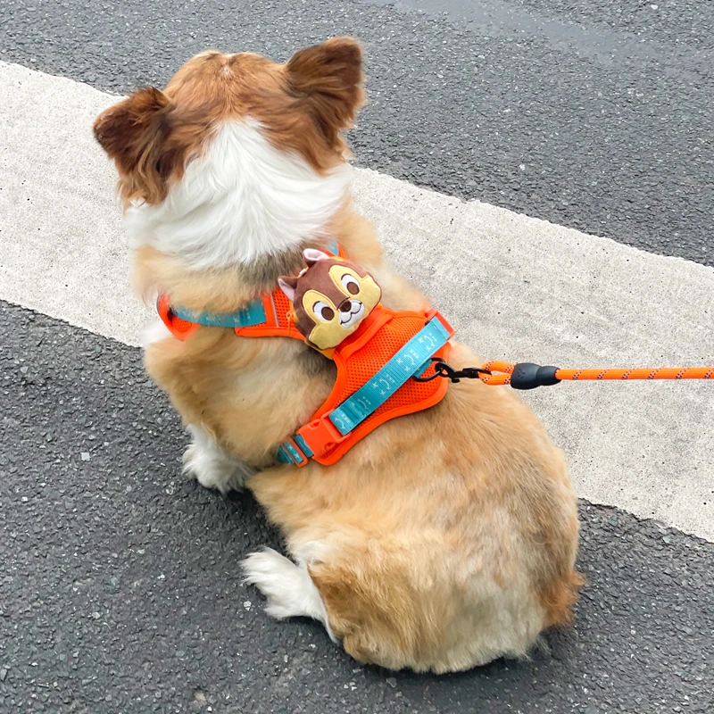 狗狗胸背柯基泰迪中小型犬宠物牵引绳背心式防爆冲遛狗绳防脱项圈