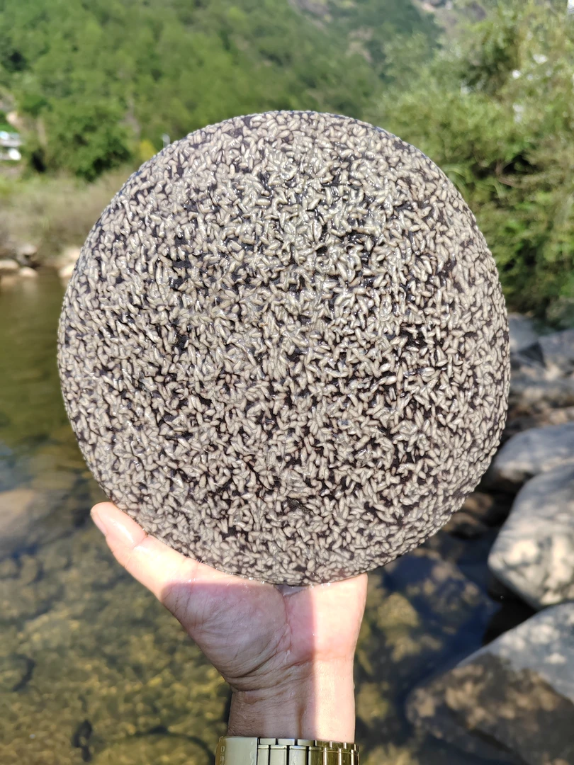 三清山米粒石  原石摆件