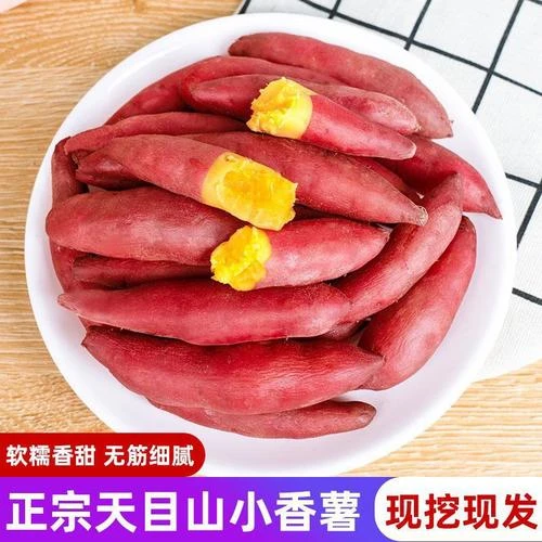 临安天目山小香薯蜜薯香甜软糯地瓜正宗板栗红薯新鲜现挖蔬菜批发