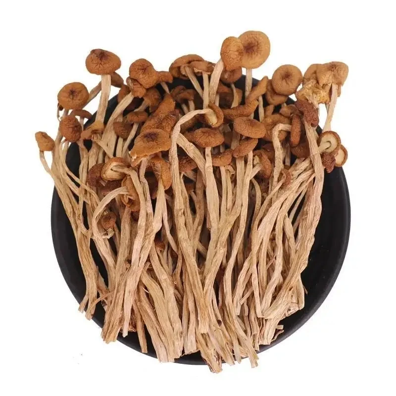 纯手工剪茶树菇干货剪根不开伞农家自产剪脚干茶树菇干货500g包邮