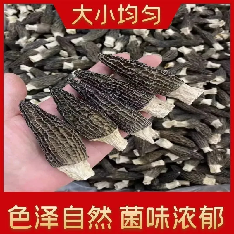 云南剪柄羊肚菌干货批发厚肉饱满