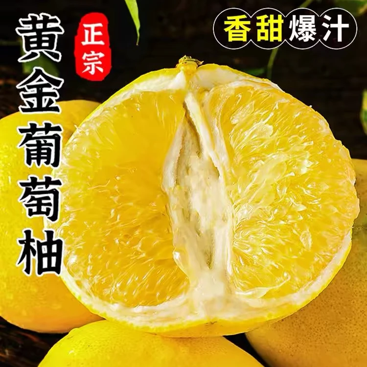 【现摘现发】福建爆汁葡萄柚现摘现发当季带箱5斤柚子