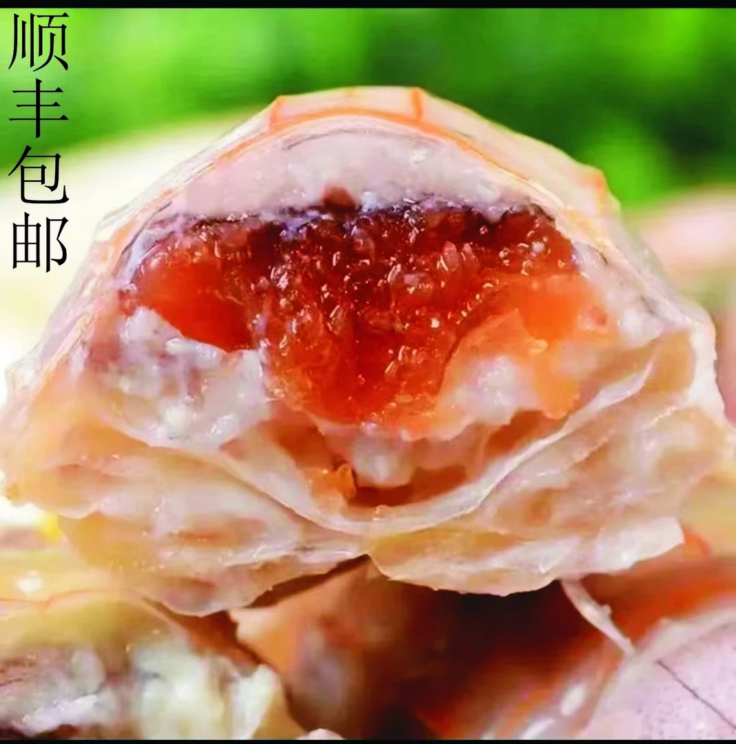 (山东货)A 全母大号带膏皮皮虾 送椒盐 顺丰包邮