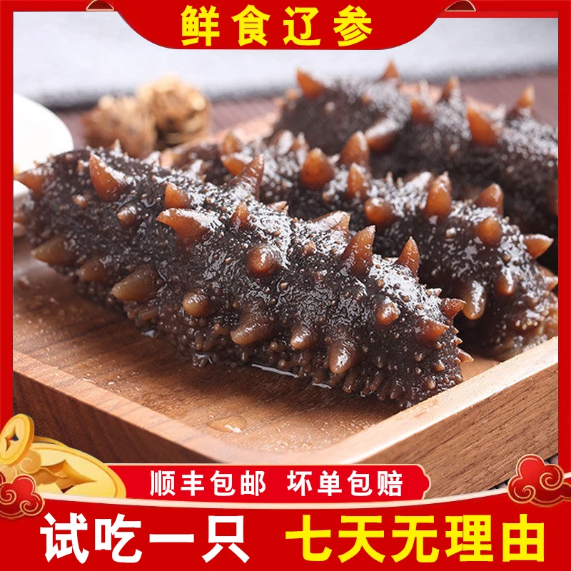 【秋季滋补】鲜食海参底播辽参 原产地自然生长 无添加 更多鱼