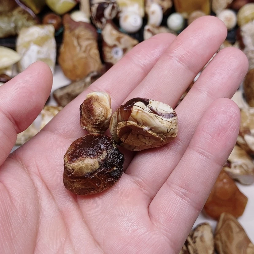 【闪购商品】定制琥珀未镶嵌咔*咔