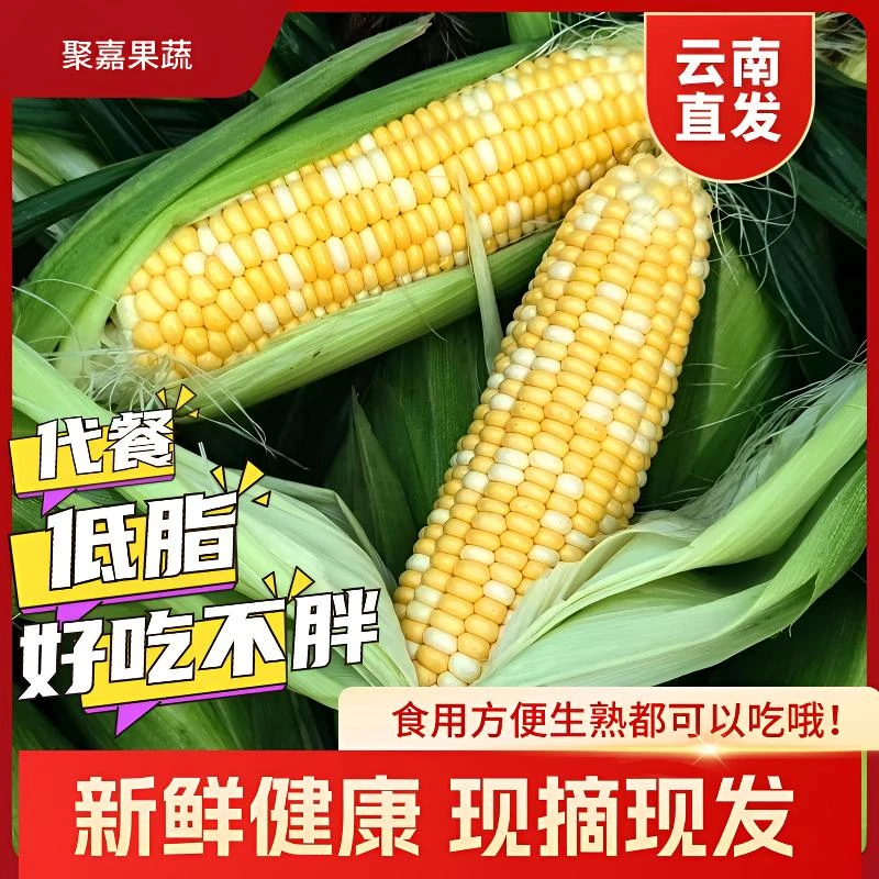 正宗云南新鲜甜水果玉米饱满爆浆甜脆多汁清甜好吃传统采摘蔬菜