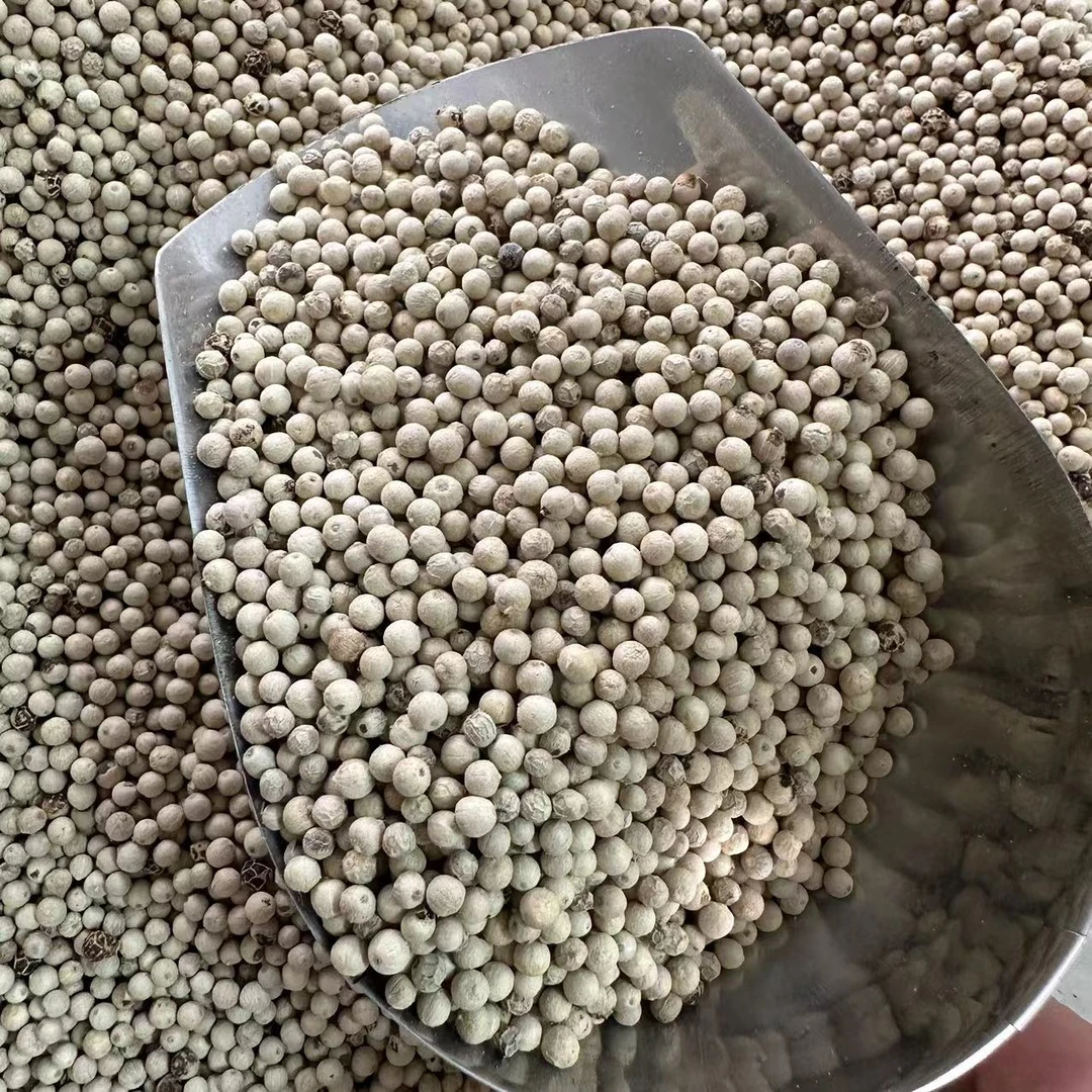 【三三】 海南白胡椒粒 400g