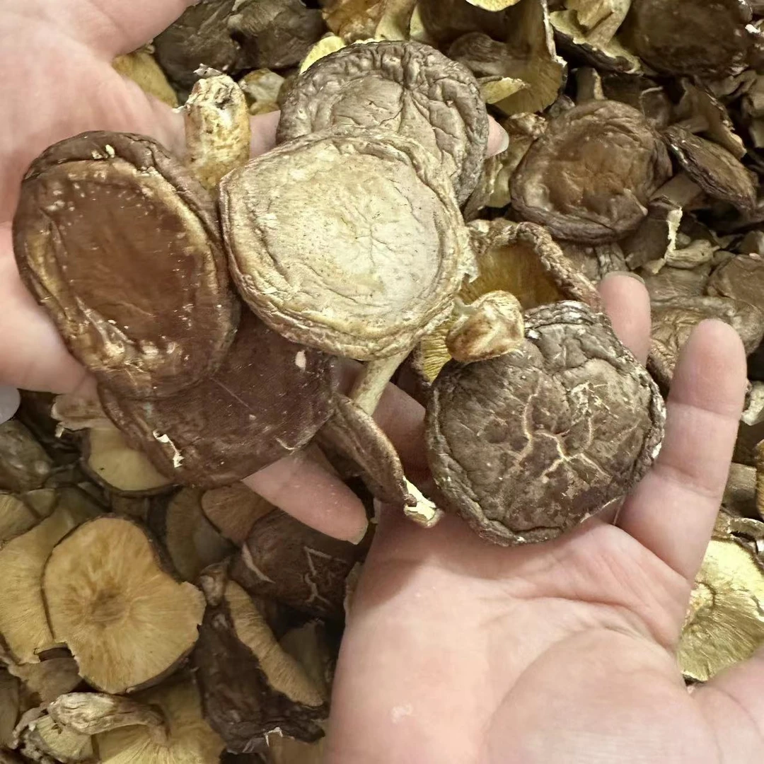 【三三】庆元菇 香菇250g