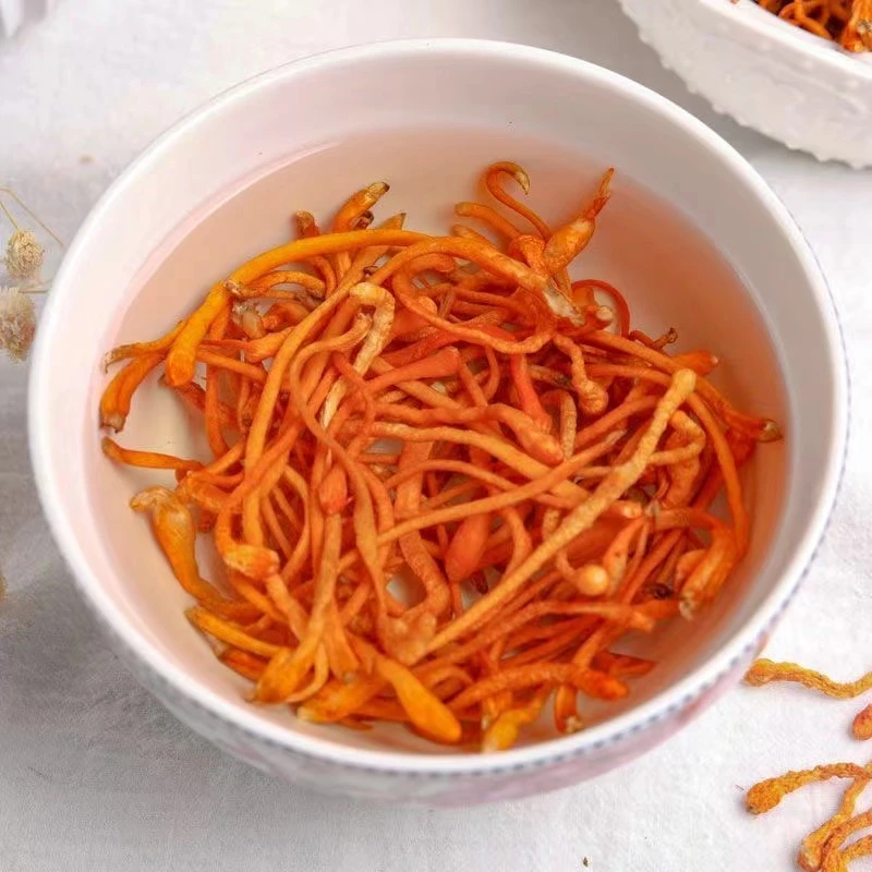 【深山采摘】精选新鲜 虫草花 煲汤 炖汤 营养食材