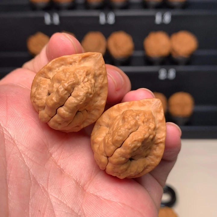 文玩核桃把件W****好小云石