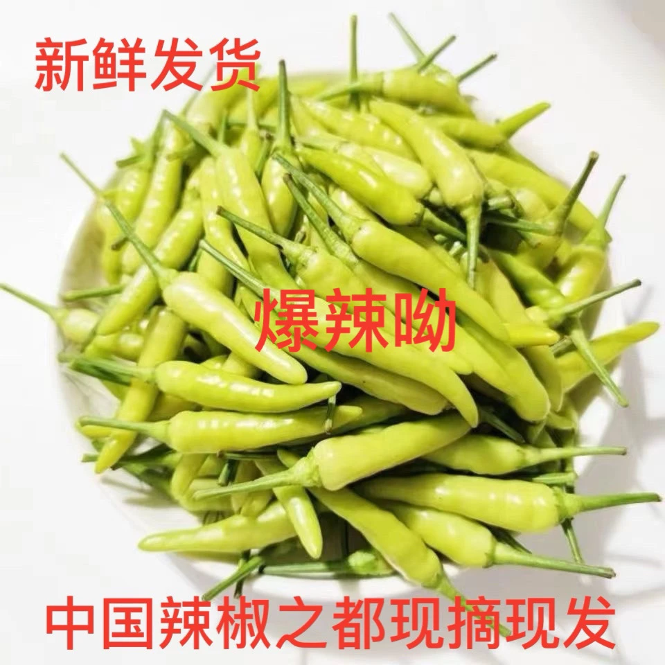 新鲜小米椒米椒黄红泡椒朝天椒泡椒野山椒小米辣泡椒