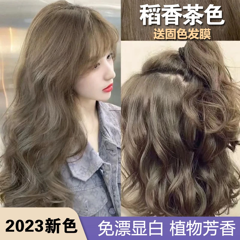 2024流行色推荐稻香茶色染发剂植物显白泡泡沫遮白发染发膏自己染