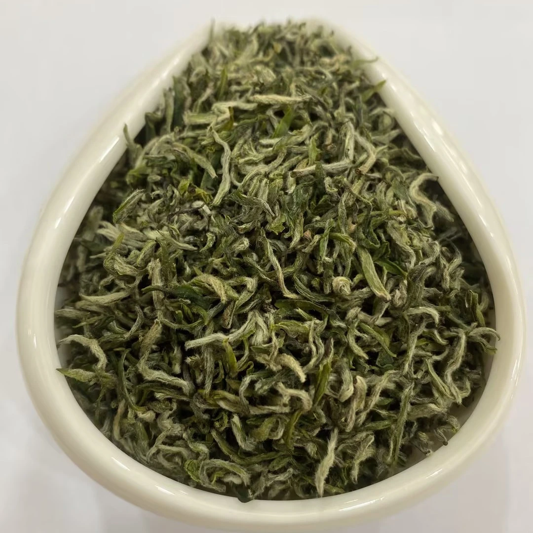 2025新茶头采生态绿茶彭洲牌传统手工英山云雾单芽云雾