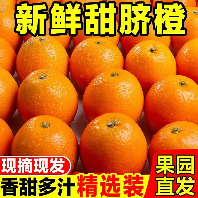 X新货纽荷尔高山脐橙酸甜多汁新鲜3斤带箱