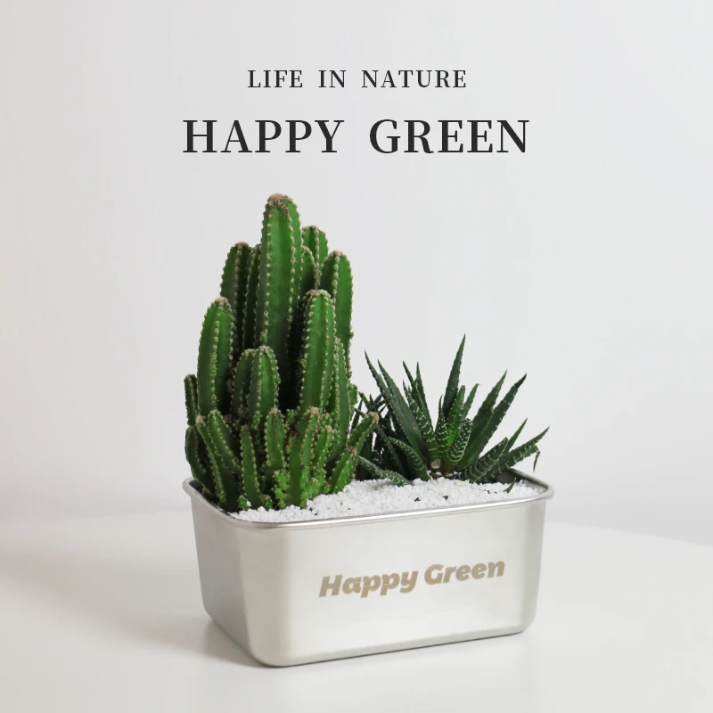花芊悦多肉仙人掌组合沙漠便HappyGreen绿植DIY礼物办公桌面盆栽
