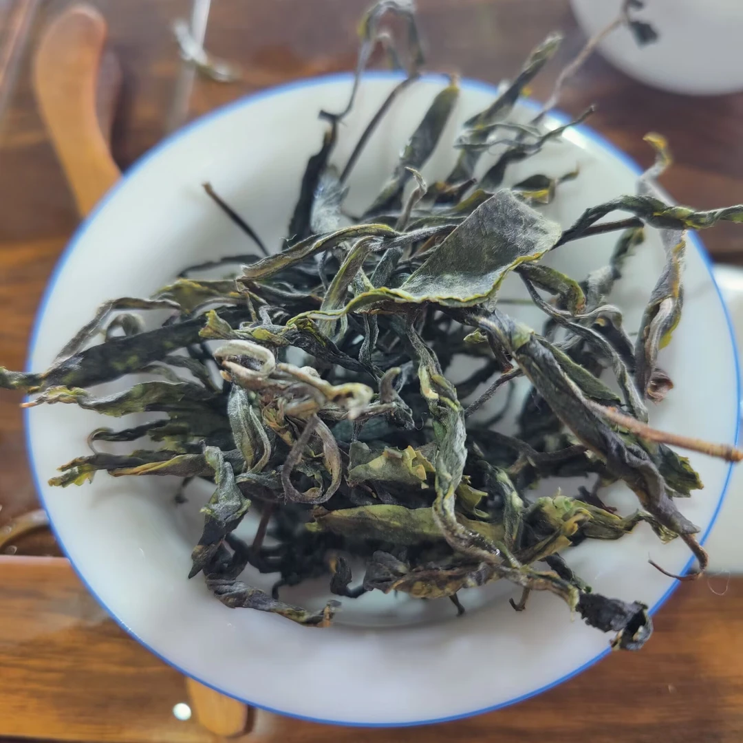 2025春【南挖河单株4号】500克 普洱茶 紧压茶