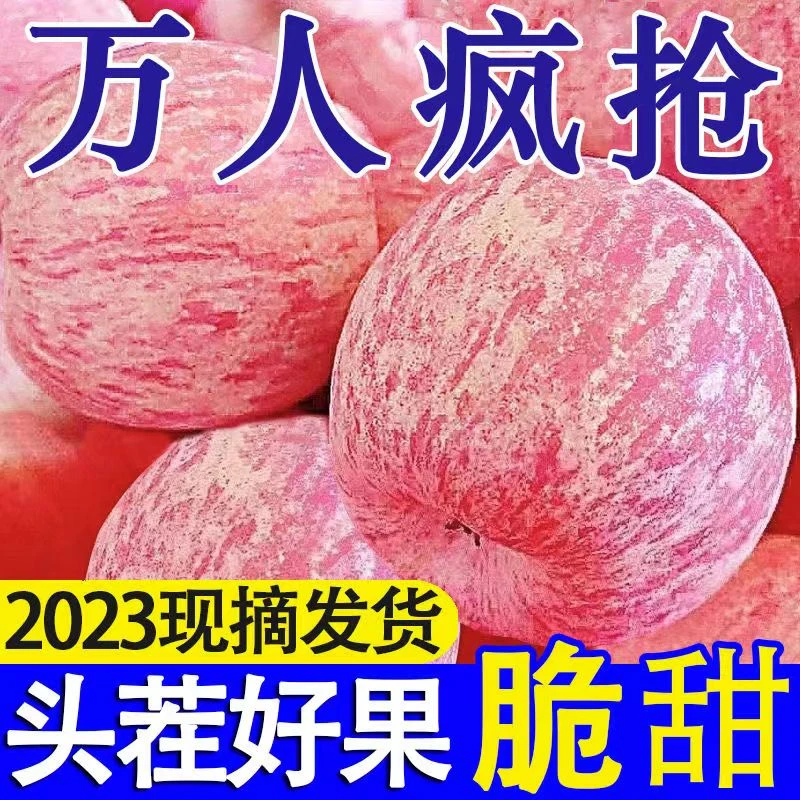 【抢购中】正宗山东烟台栖霞红富士苹果应季水果新鲜1-10斤甜脆现品
