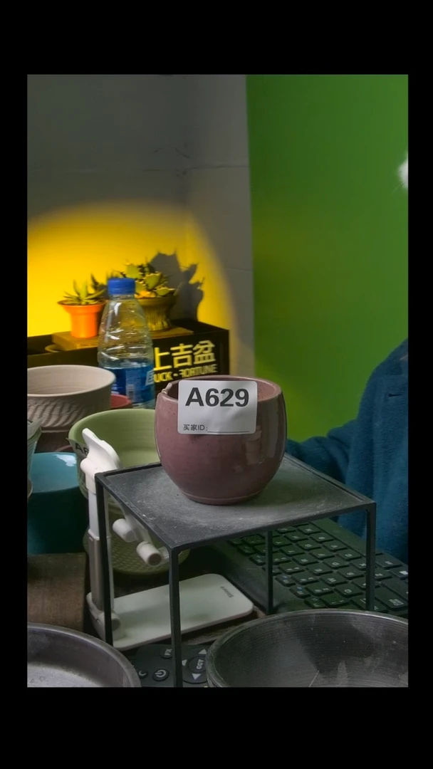 【闪购商品】紫砂花盆629