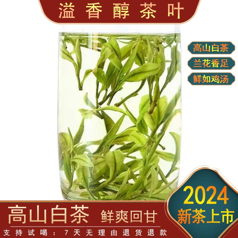 【性价比推荐】2024高山白茶-C8 性价比高 香浓耐泡
