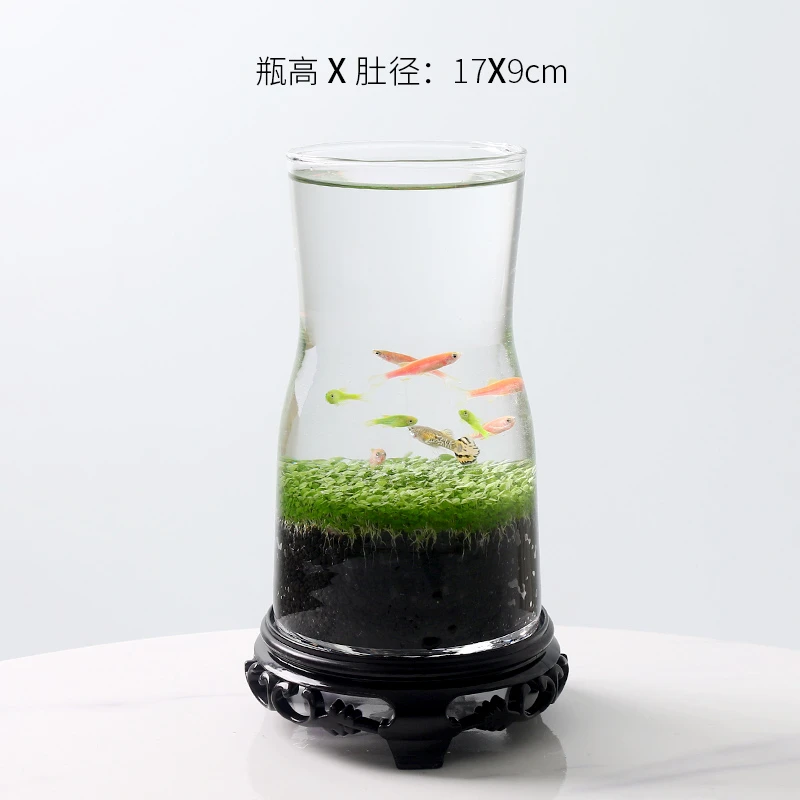生态水草缸桌面微景观水培绿植造景家庭办公桌面创意水培摆件
