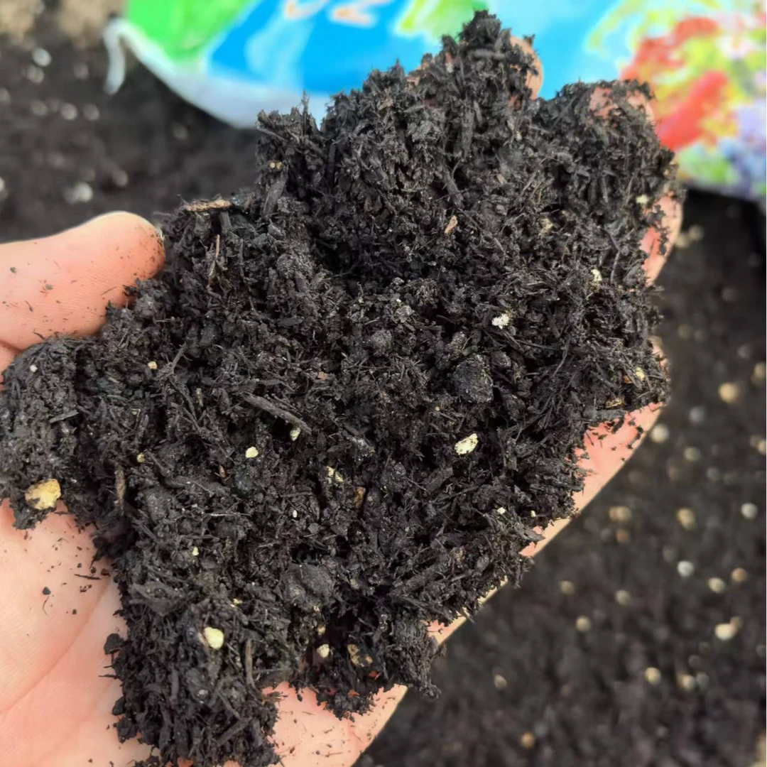 营养土花草树混合专用扦插育苗