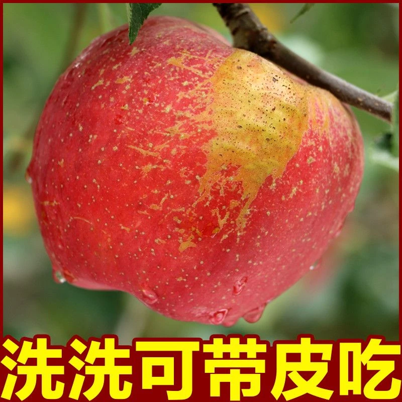 【24年鲜果】正宗四川大凉山盐源丑苹果现摘现发 脆甜多汁5/8斤