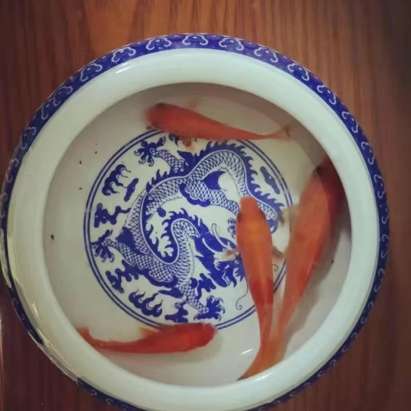 陶瓷缸陶瓷水缸陶瓷缸