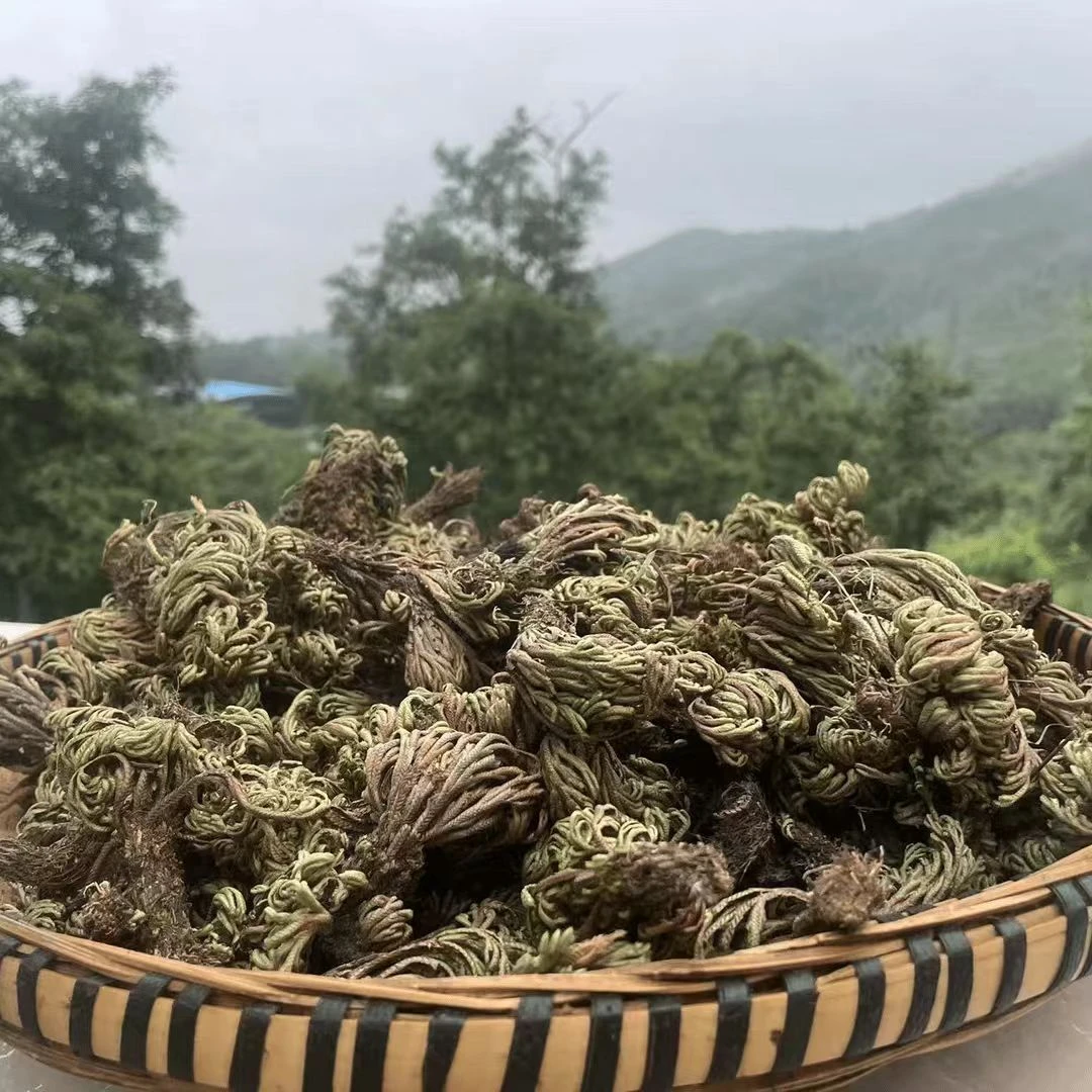 小花山货云南深山回心草