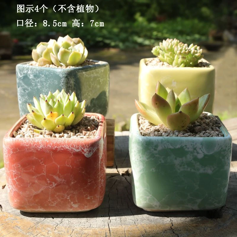 多肉花盆简约可爱创意个性清新流釉正方形陶瓷法师韩式叶插苗盆器