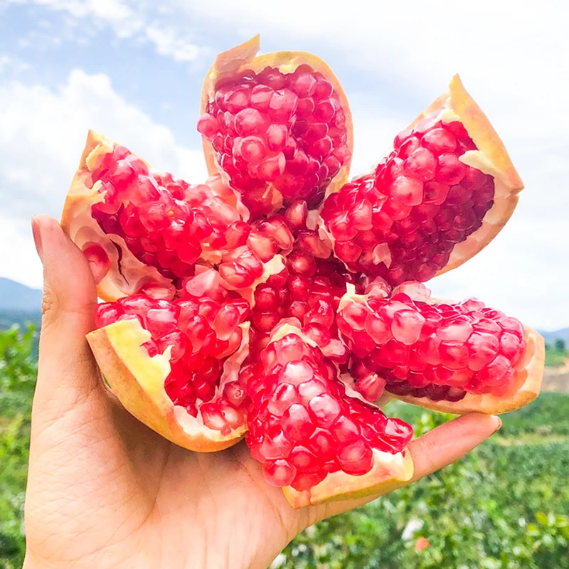 四川突尼斯软籽石榴 4.5斤中果/大果 颗粒饱满 皮薄多汁z