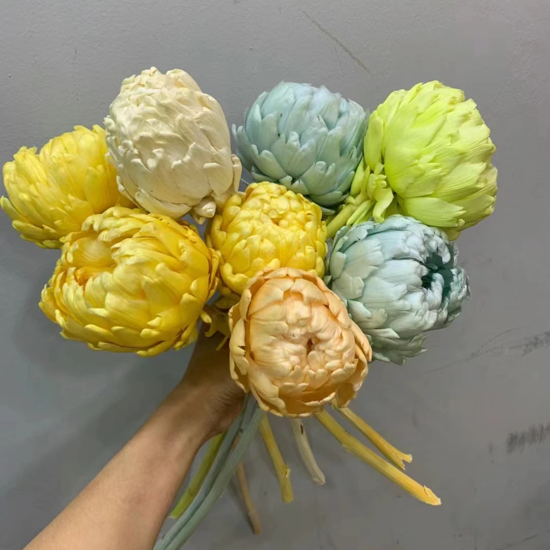 【洋蓟】永生花专属链接天然真花永生花样板间客厅家居装饰摆件