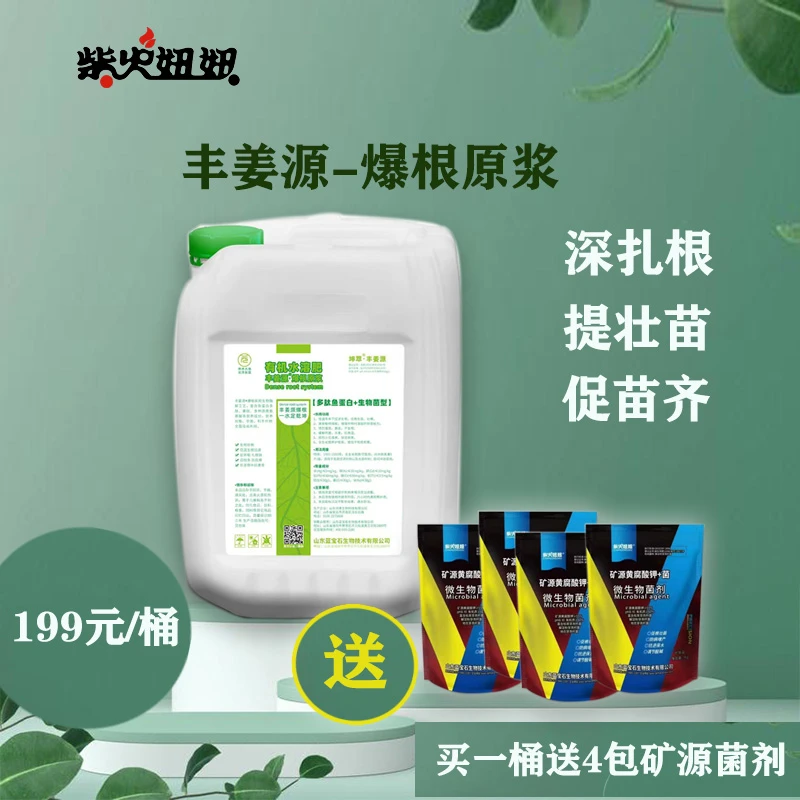 柴火妞妞丰姜源爆根 10kg/桶