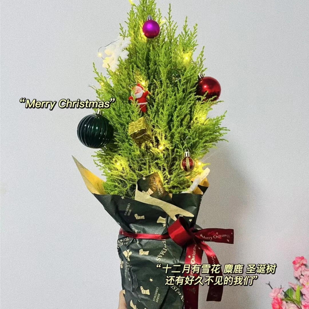 【双旦福利】圣诞树香松绿植清新柠檬清香圣诞配件麋鹿圣诞礼物