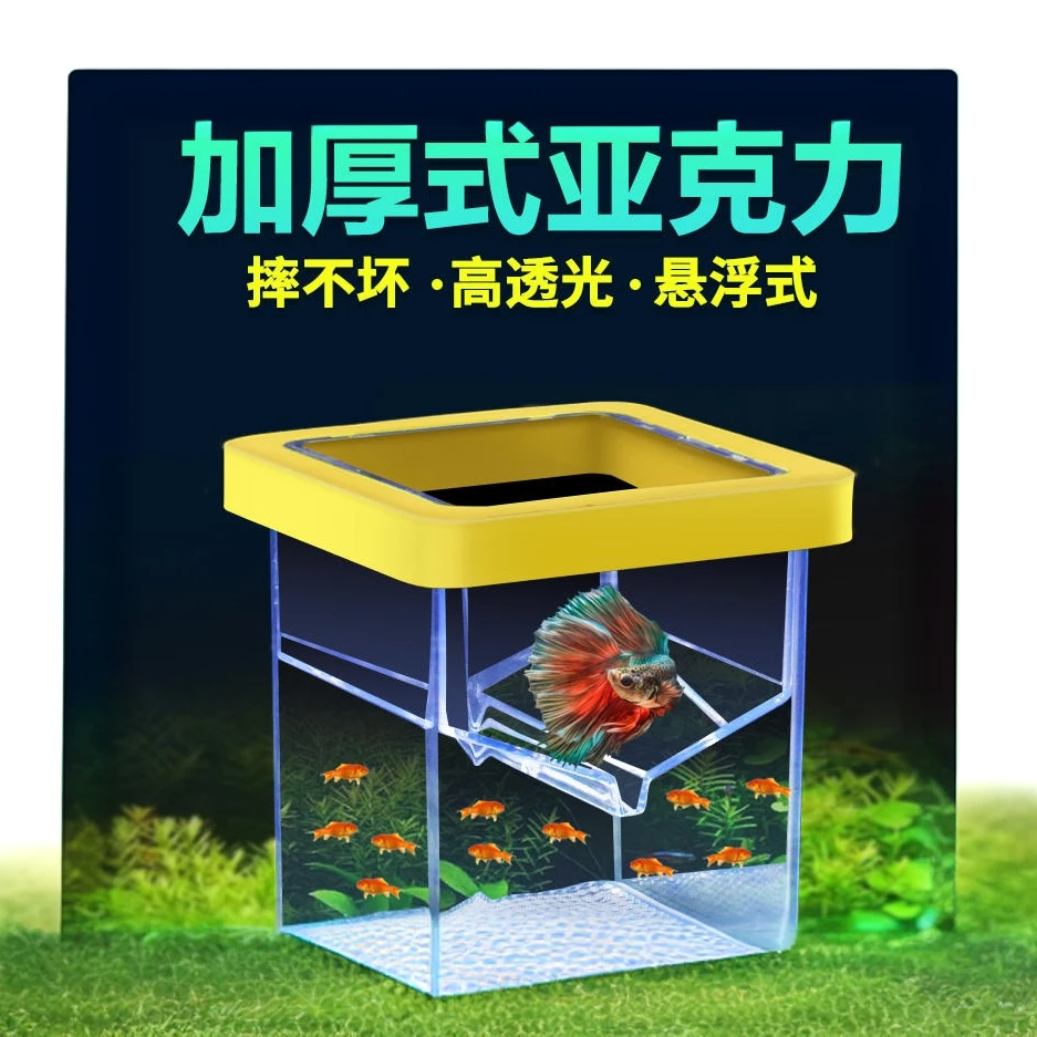 孔雀鱼繁殖盒鱼缸内隔离盒漂浮小鱼苗小型鱼幼鱼母鱼凤尾鱼孵化器