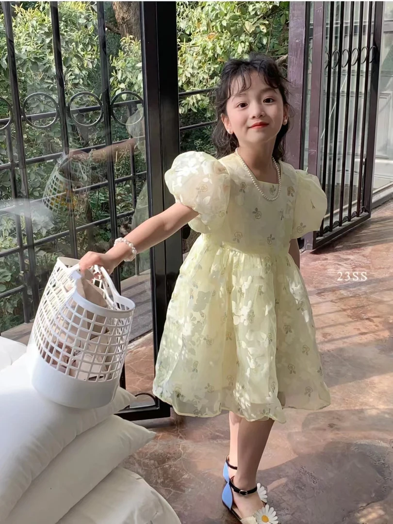 2024夏款连衣裙洋气公主裙，儿童装花仙子甜美鲜鲜连衣裙