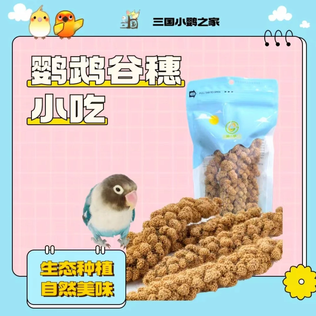 三国小鹦之家  鹦鹉天然谷穗零食小吃自然美味谷穗