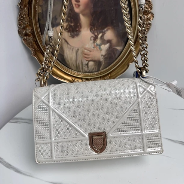 95新 DIOR/迪奥 迪奥盾牌斜挎包1358