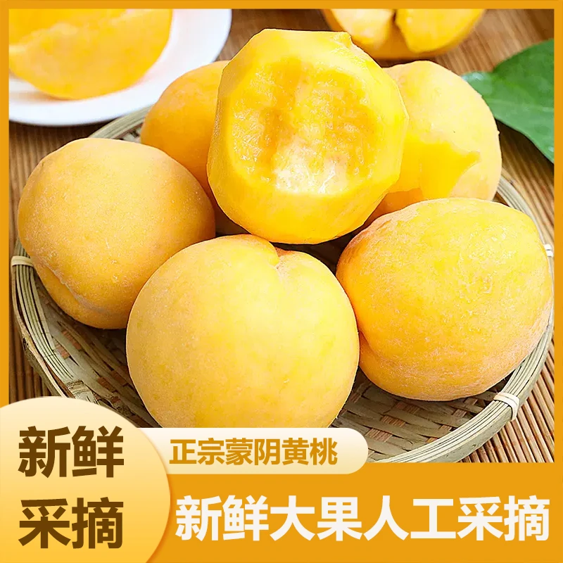 【蒙阴黄桃】正宗鲜嫩山东蒙阴黄桃新鲜水果香甜脆爽桃子黄毛桃（杨）