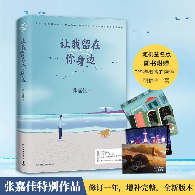 从你的全世界路过张嘉佳著 中国当代小说现当代文学 暖心治愈系小