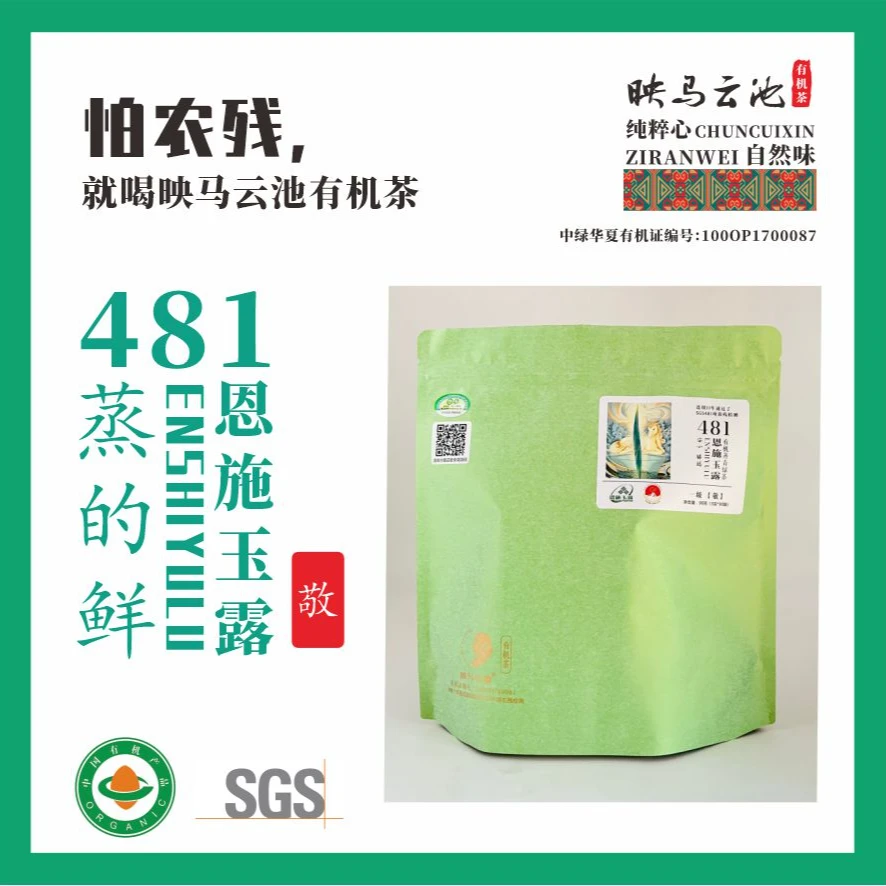 映马云池有机绿茶481恩施玉露 敬  90克