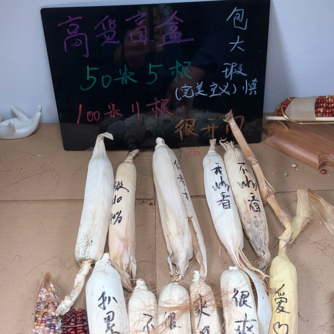 举**子啦啦啦啦啦啦啦啦