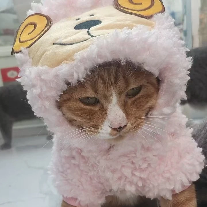 宠物披风保暖加厚狗狗衣服冬季猫咪睡袍