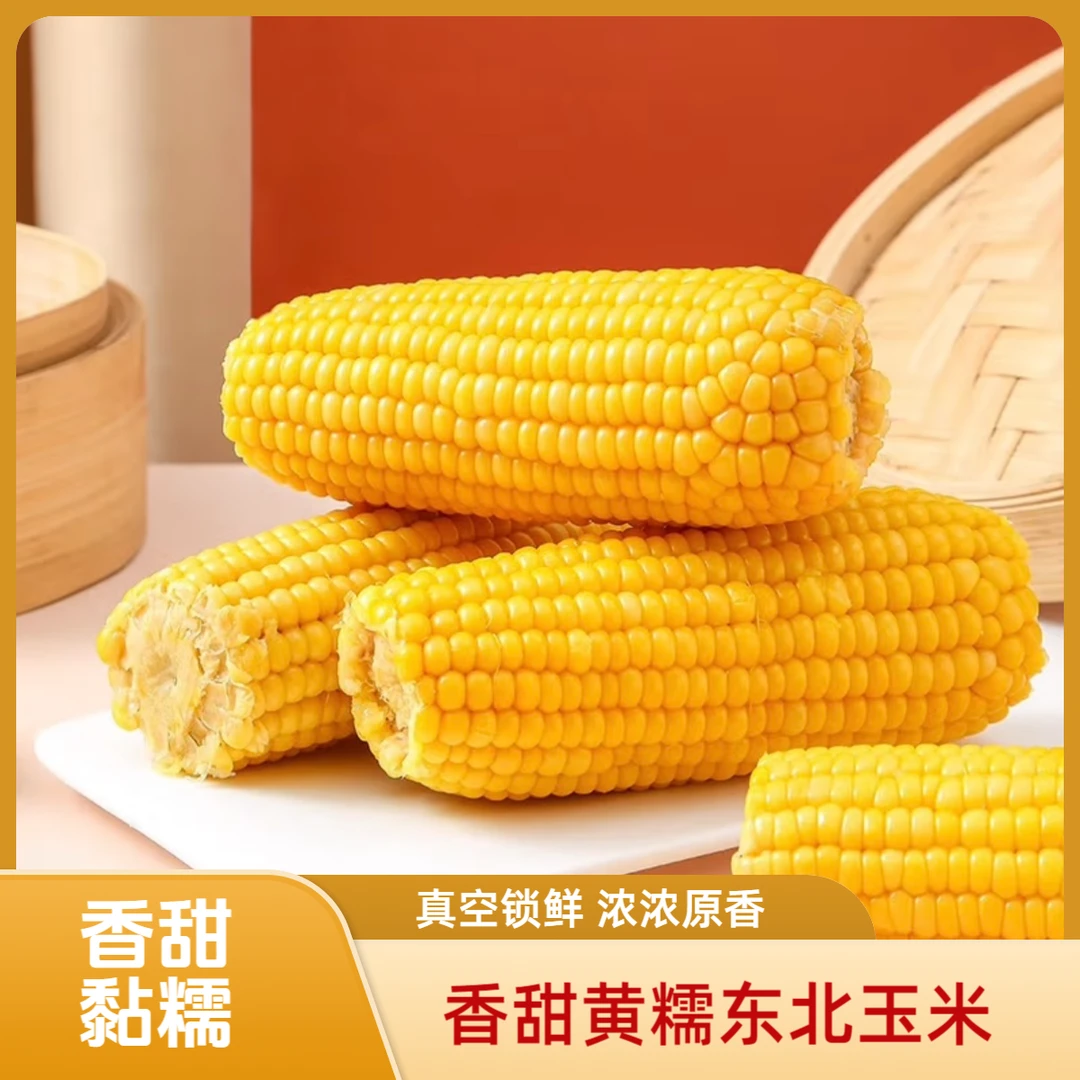 【试吃2根】24年东北黄糯玉米拍8+2支带箱6斤左右