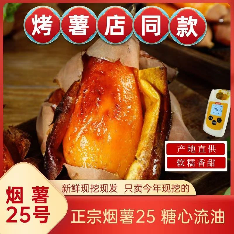 【坏果包赔】带箱5斤山东烟薯25号超甜糖心流油红薯新鲜沙地番薯
