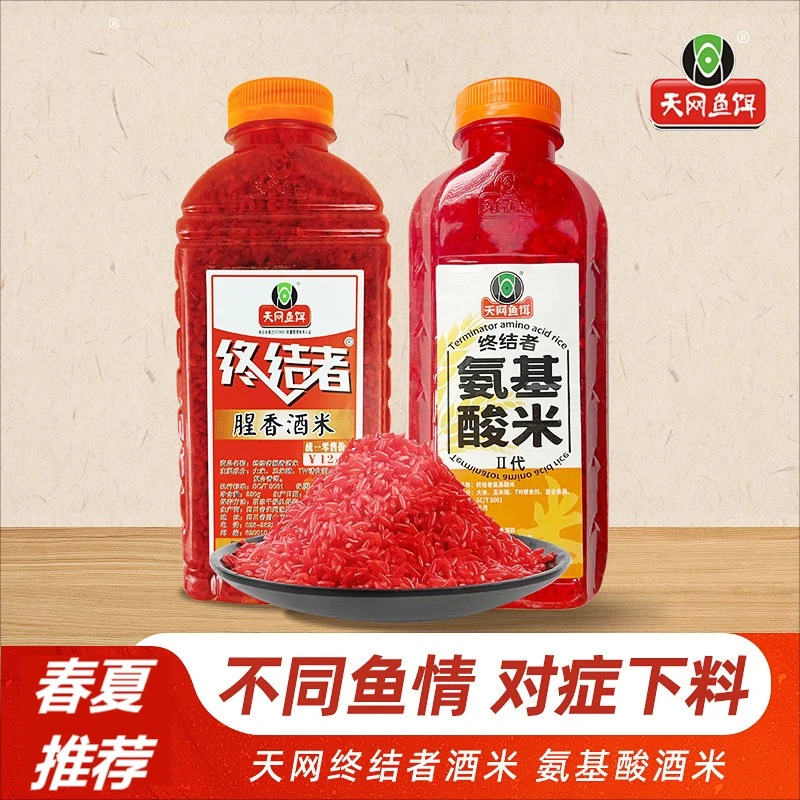 天网终结者麝香酒米红虫打窝酒米窝料黑坑野钓鲫鲤草鱼饵饵料钓饵