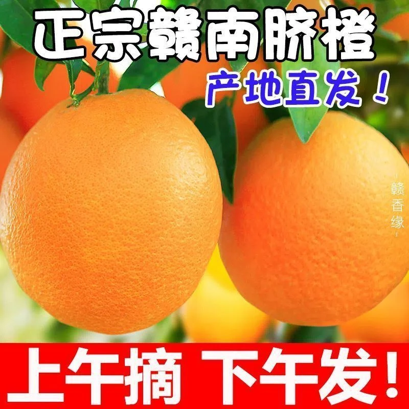 正宗赣南脐橙当季新鲜赣州农家自种果园直发薄皮整箱包邮甜橙子