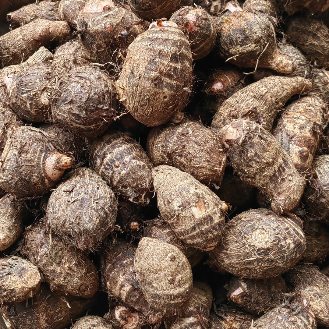 红芽芋头/粉糯香甜